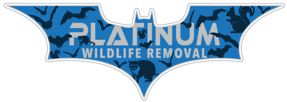 Sparta Wildlife Control